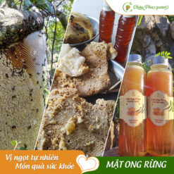 MẬT ONG RỪNG