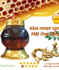 mat ong rung ngam sam ngoc linh