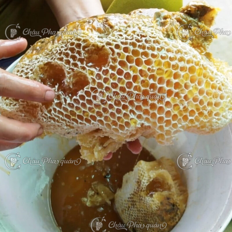 mật ong từ tổ ong thiên nhiên