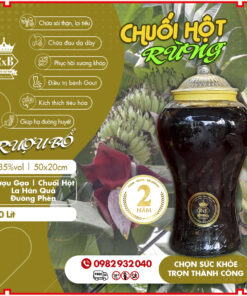 ruou chuoi hot rung (2)