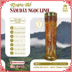 ruou-ngam-sam-day-ngoc-linh 4L8