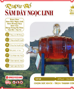 ruou sam day ngoc linh binh kieu go (1)