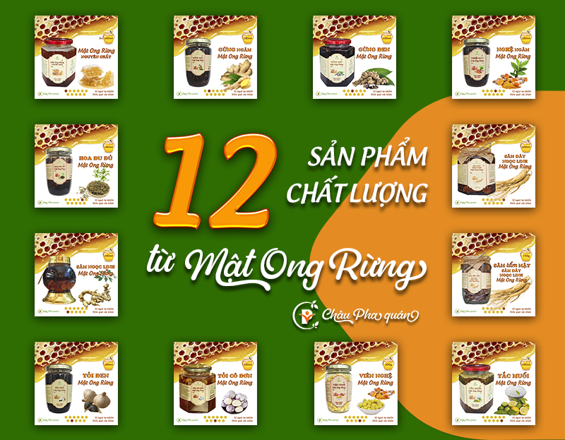 12-sp-mat-ong