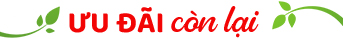 thời gian ưu đãi còn lại
