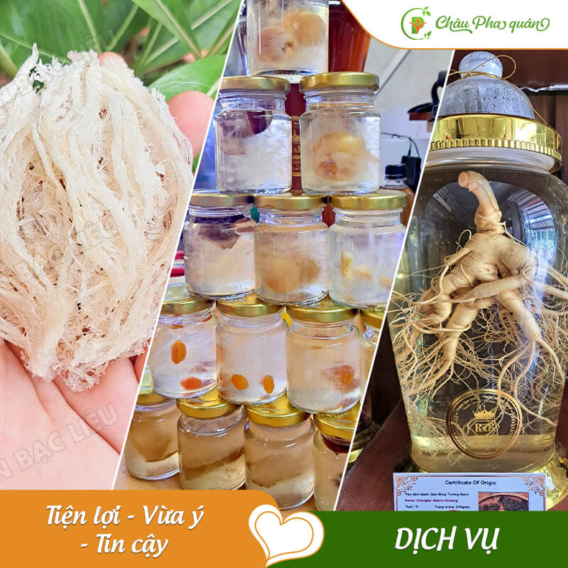 dịch vụ của Châu Pha quán