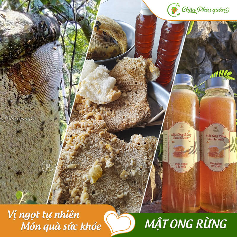 mật ong rừng Châu Pha quán