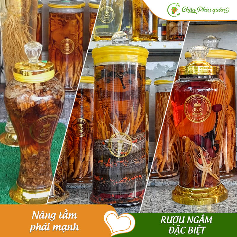 RƯỢU NGÂM ĐẶC BIỆT