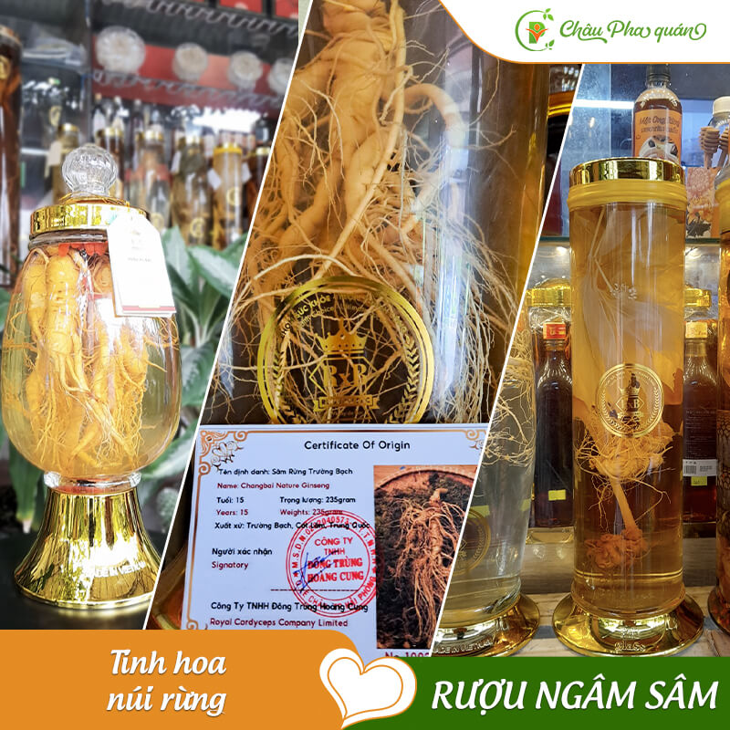 RƯỢU NGÂM SÂM
